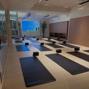 Lezione singola Yoga & Pilates Matwork